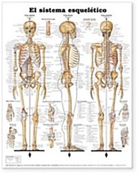 El Sistema Esqueletico / The Skeletal System Anatomical Chart (Chart, 2nd, Wall)