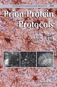 Prion Protein Protocols (Hardcover, 2008)