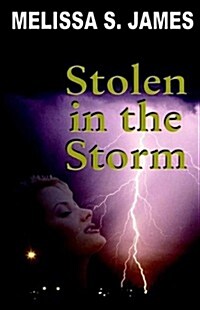 Stolen in the Storm (Paperback)