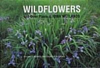 Wildflowers and Other Plants of Iowa Wetlands (Paperback)