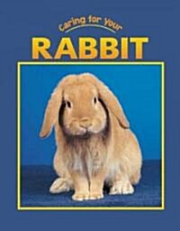 Rabbit (Paperback)