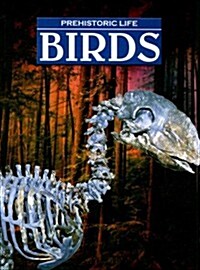 Birds (Paperback)