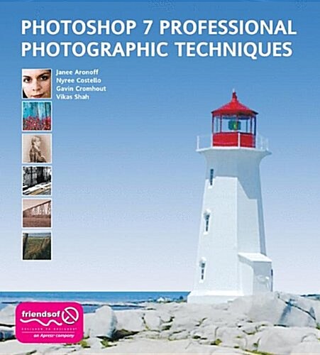 Photoshop 7 Professional Photographic Techniques (Paperback, Softcover Repri)