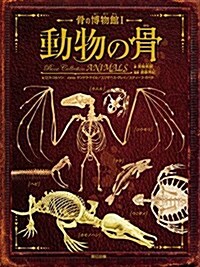 骨の博物館1 動物の骨 (骨の博物館 1) (大型本)