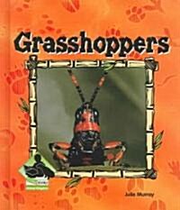 Grasshoppers (Library Binding)