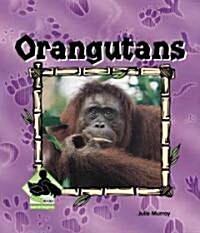 Orangutans (Library Binding)