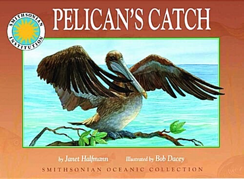 Pelicans Catch (Paperback, 1st)