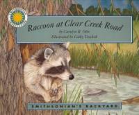 Raccoon at Clear Creek Road (Paperback)