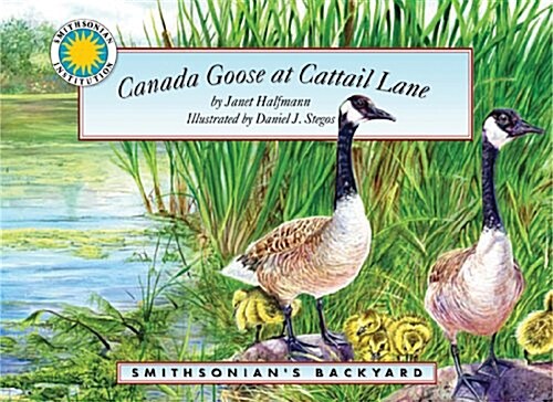 Canada Goose Cattail Lane (Paperback)