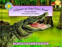 Alligator at Saw Grass Road (Paperback)