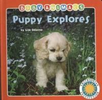 Puppy Explores (Board Book)