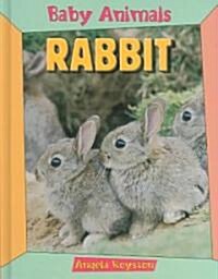 Rabbit (Hardcover)