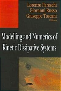 Modelling & Numerics of Kineti (Hardcover)