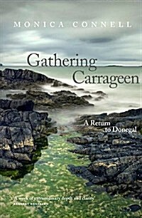 Gathering Carrageen (Paperback)