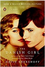 The Danish Girl (Paperback)
