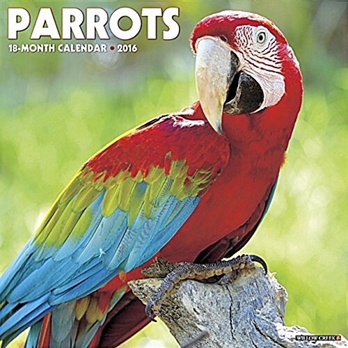 Parrots Calendar (Wall, 2016)