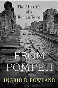 From Pompeii: The Afterlife of a Roman Town (Paperback)