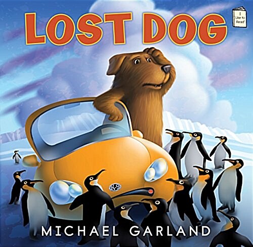 Lost Dog (Paperback)