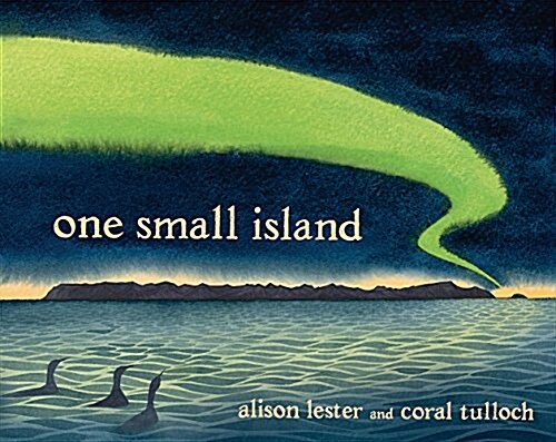 One Small Island (Hardcover)