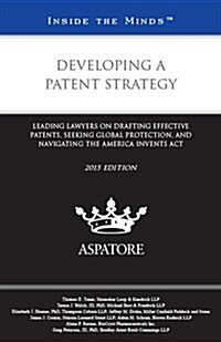 Developing a Patent Strategy 2015 (Paperback)