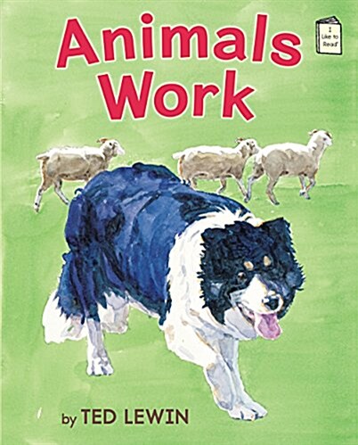 Animals Work (Paperback)