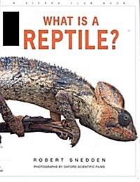 What Is a Reptile? (Hardcover)