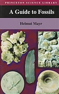 A Guide to Fossils (Paperback, Reprint)