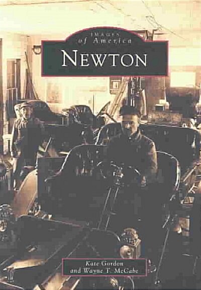 Newton (Paperback, Reprint)