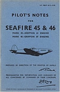 Air Ministry Pilots Notes (Paperback, Facsimile of 1948 ed)