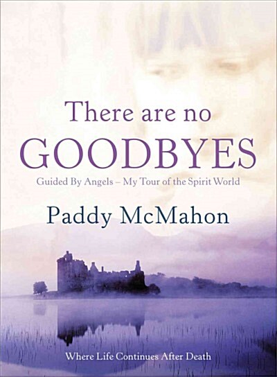 There Are No Goodbyes (Paperback)