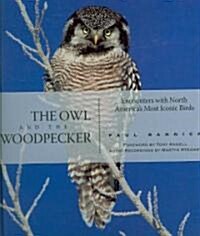 The Owl and the Woodpecker: Encounters with North Americas Most Iconic Birds [With CD] (Hardcover)