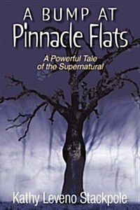 A Bump at Pinnacle Flats (Paperback)