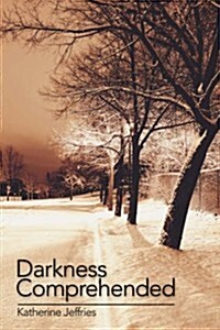 Darkness Comprehended (Paperback)