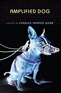 Amplified Dog (Paperback)