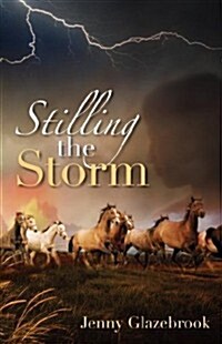 Stilling the Storm (Paperback)