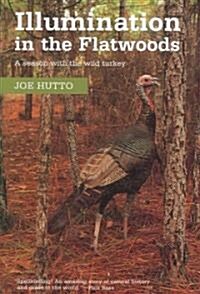 Illumination in the Flatwoods: A Season with the Wild Turkey (Paperback)