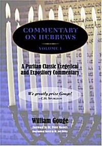 Commentary on Hebrews: Exegetical & Expository - Vol. 1 (PB) (Paperback)