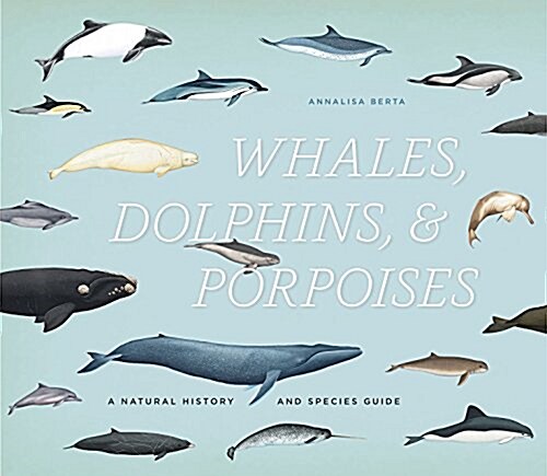 Whales, Dolphins & Porpoises: A Natural History and Species Guide (Hardcover)