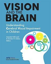 Vision and the Brain: Understanding Cerebral Visual Impairment in Children (Paperback)