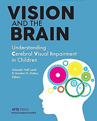 Vision and the Brain: Understanding Cerebral Visual Impairment in Children (Paperback)
