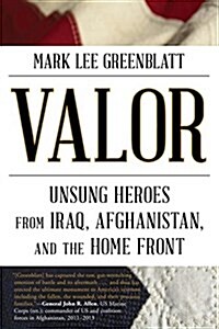 Valor: Unsung Heroes from Iraq, Afghanistan, and the Home Front (Paperback)
