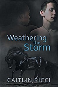 Weathering the Storm: Volume 1 (Paperback, First Edition)