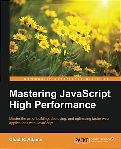 Mastering JavaScript High Performance (Paperback)