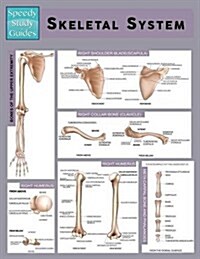 Skeletal System (Speedy Study Guide) (Paperback)