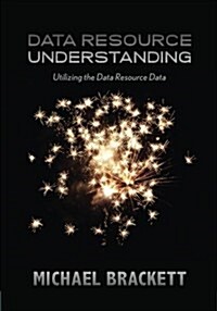 Data Resource Understanding: Utilizing the Data Resource Data (Paperback)