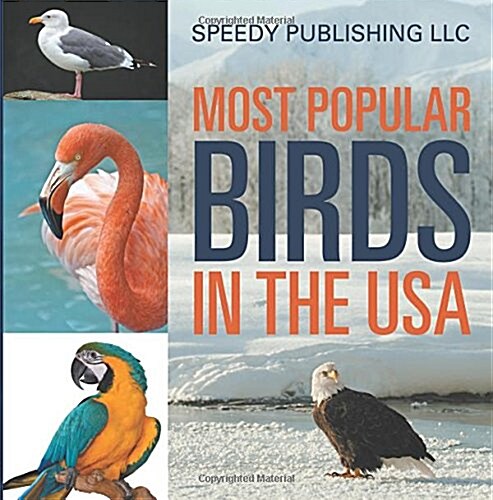 Most Popular Birds in the USA (Paperback)