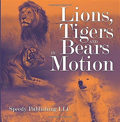 Lions, Tigers and Bears in Motion (Paperback)