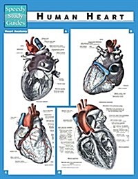 Human Heart (Speedy Study Guide) (Paperback)