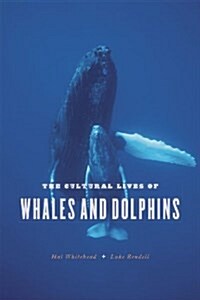 The Cultural Lives of Whales and Dolphins (Paperback)