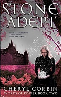 Stone Adept (Paperback)